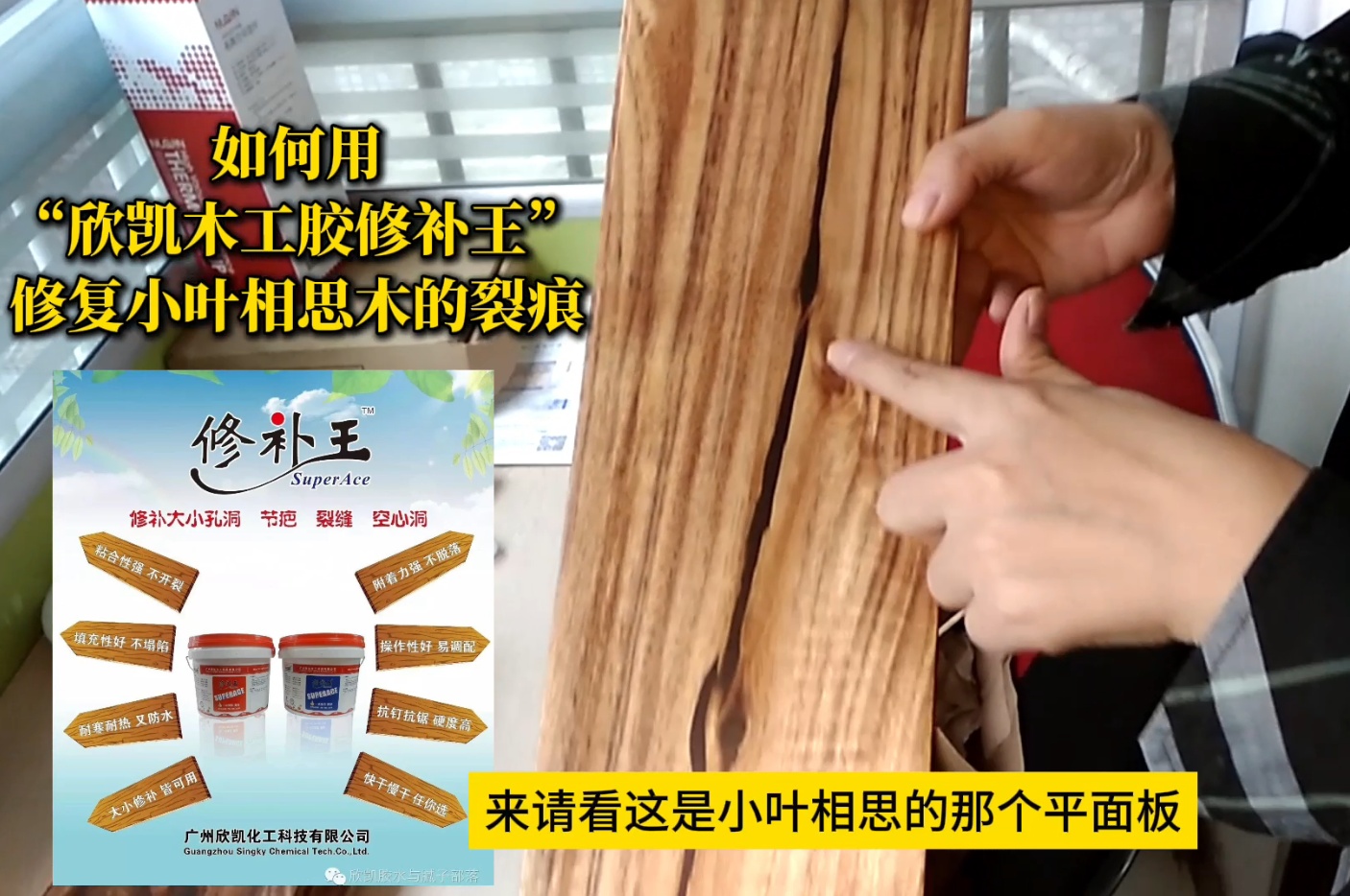 如何用“欣凱木工膠修補王”，修復小葉相思木的裂痕？