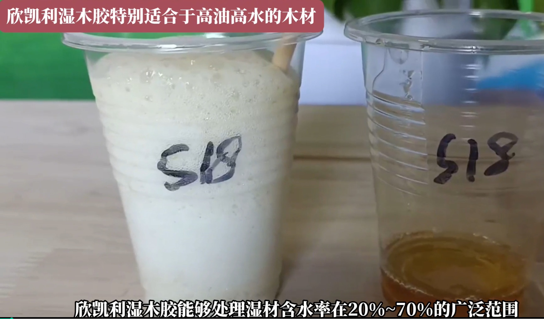 欣凱利濕木膠特別適合于高油高水的木材，快干、快固化