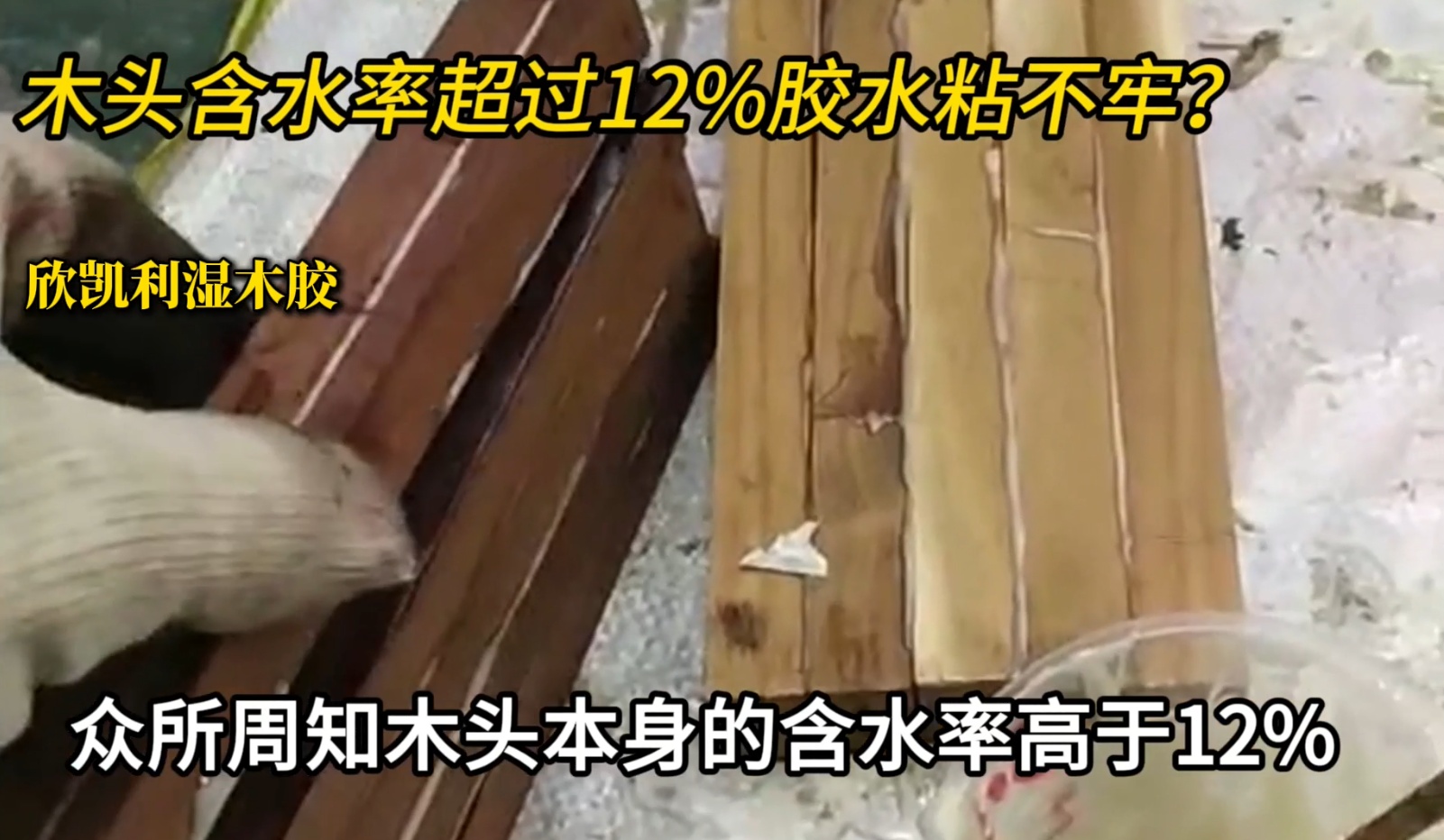 欣凱利濕木膠可用于：橡木、胡桃木、楓木、櫻桃木松木、杉木等木種