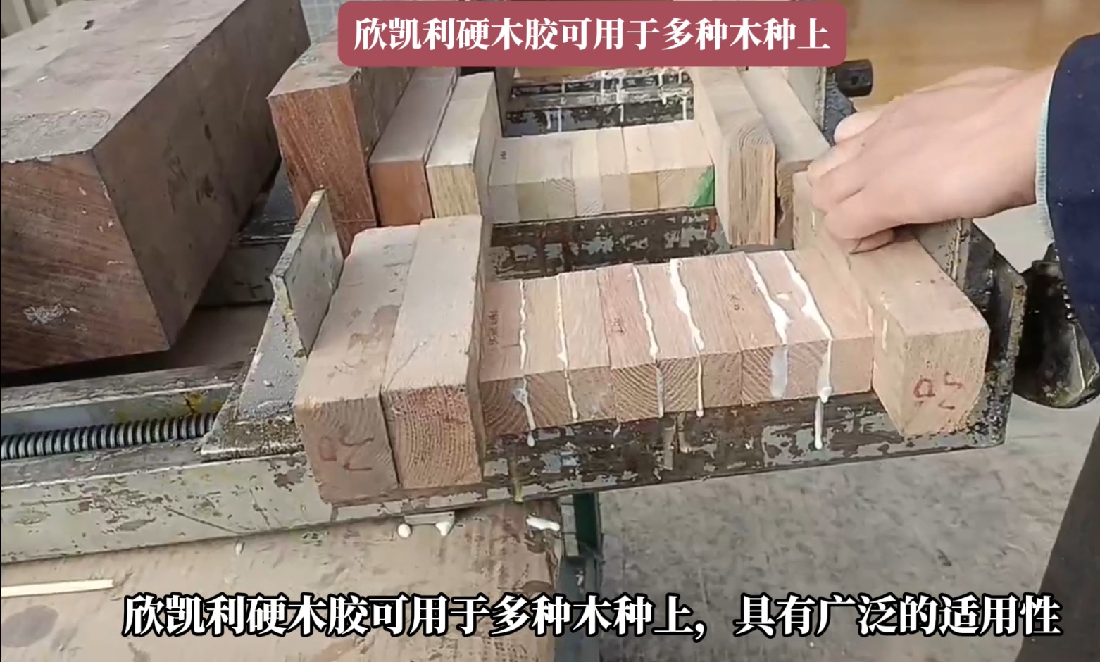 欣凱利硬木膠能夠深入木材裂縫和孔洞，形成牢固的粘接層